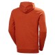Džemperis ar kapuci HELLY HANSEN HHWW Graphic Hoodie, oranžs 2