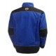 Jaka Chelsea Lined Jacket HELLY HANSEN, zila