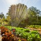 Svārstveida smidzinātājs GARDENA AquaZoom compact 18708-20 3