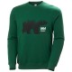 Džemperis HELLY HANSEN Graphic Sweatshirt, zaļš