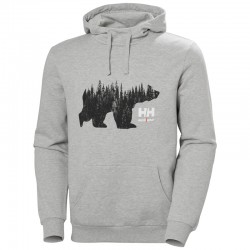 Džemperis HELLY HANSEN Graphic Hoodie, pelēks
