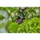 Cauruļu skava GARDENA 13218-20 3/16“, 15 gab. 3 Cauruļu skava GARDENA 13218-20 3/16“, 15 gab. 3
