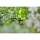 Cauruļu skava GARDENA 13218-20 3/16“, 15 gab. 4 Cauruļu skava GARDENA 13218-20 3/16“, 15 gab. 4