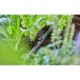 Cauruļu skava GARDENA 13208-20 1/2", 10 gab. 4 Cauruļu skava GARDENA 13208-20 1/2", 10 gab. 4