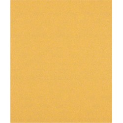 Šlifavimo popierius BOSCH Expert C470, rankiniam šlifavimui, 230 x 280 mm, G 100