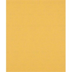 Šlifavimo popierius BOSCH Expert C470, rankiniam šlifavimui, 230 x 280 mm, G 120