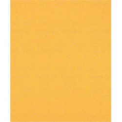 Šlifavimo popierius BOSCH Expert C470, rankiniam šlifavimui, 230 x 280 mm, G 220