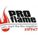 Proflame Expert ražotāja logotips